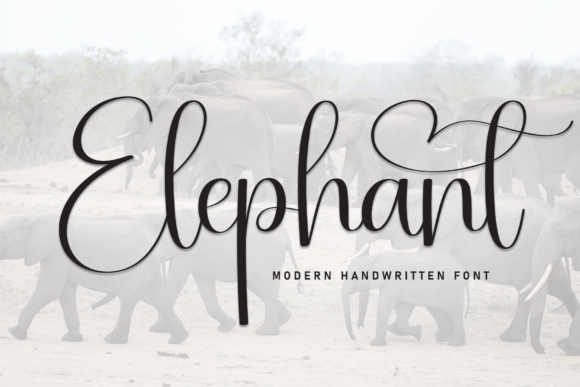 Elephant: A Handwritten Font That Makes Your Campaigns Instantly Clear
